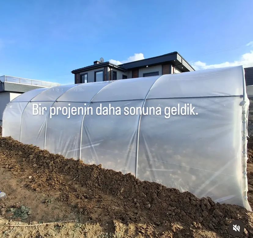 Zyn Tingöz Seracılık